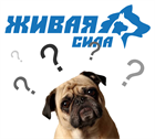 Ответы на вопросы: корма "ЖИВАЯ СИЛА". Ответы на вопросы: корма "ЖИВАЯ СИЛА".
