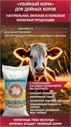 Комбикорм Убойный корм для дойных коров 16541