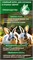 Убойный комбикорм для кроликов ОТКОРМ 16519